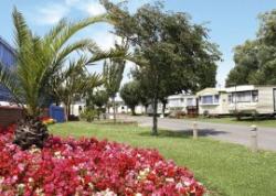 Riverside Caravan Park