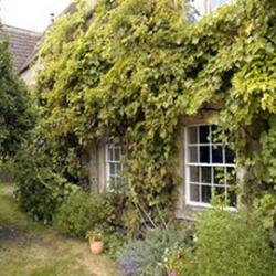 Court Farm